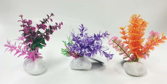 Assorted, 1ea/6 in