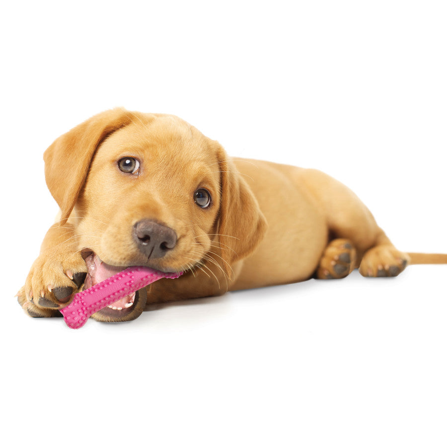 Pink Bone, Chicken, 1ea/XS/Petite (1 ct)
