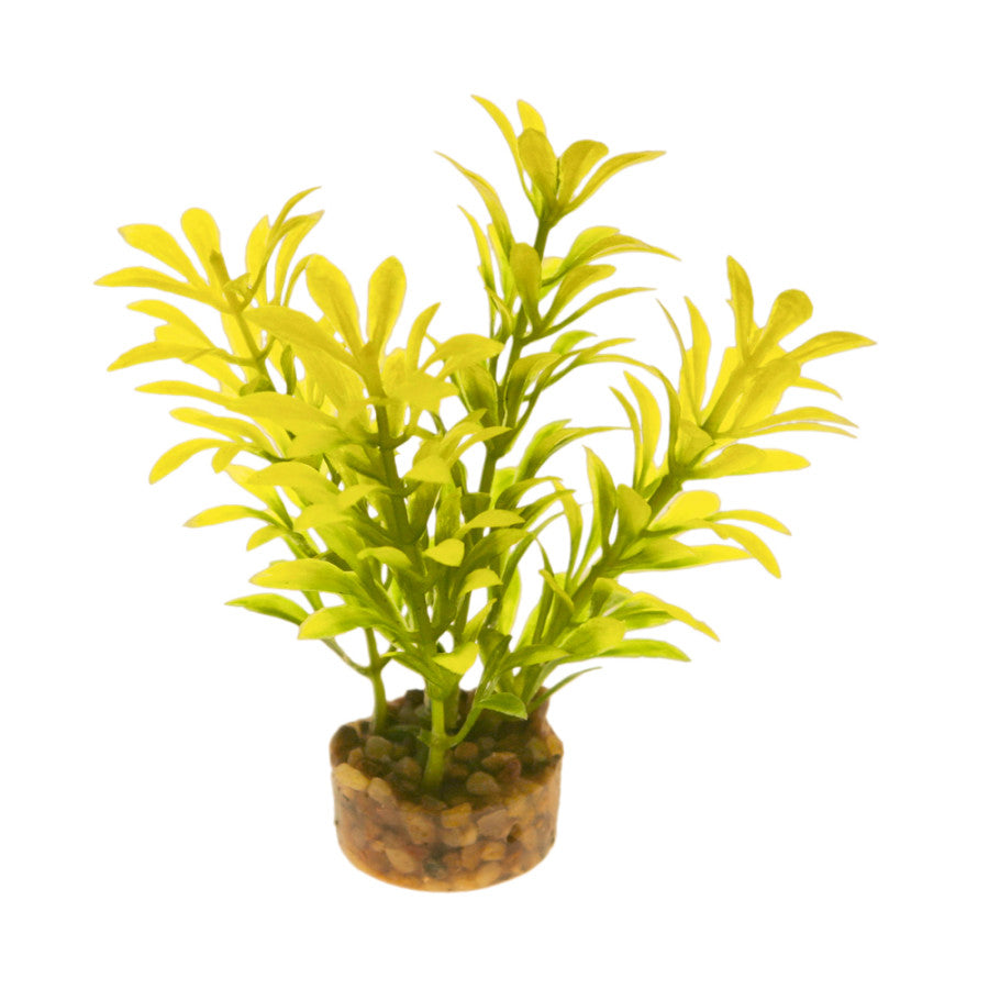 Yellow, 1ea/3.25 in
