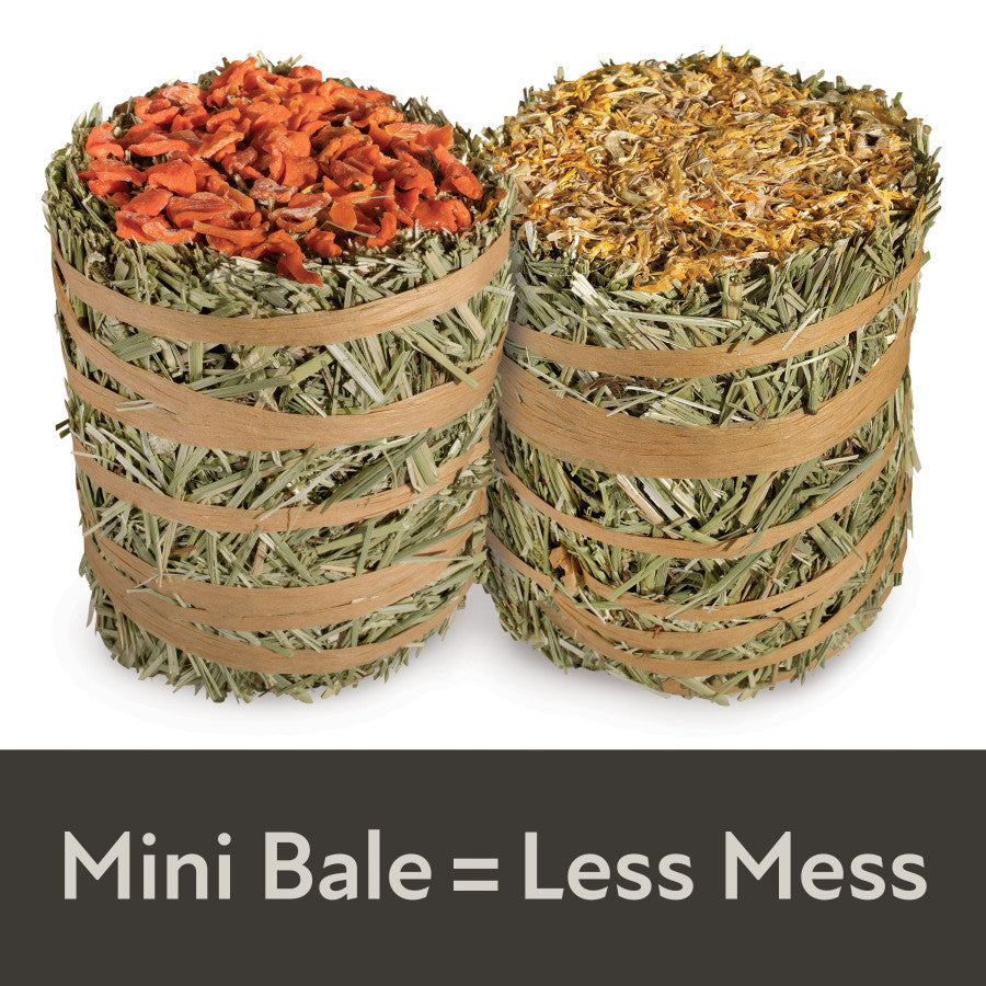 2 Pack, 1ea/7 oz