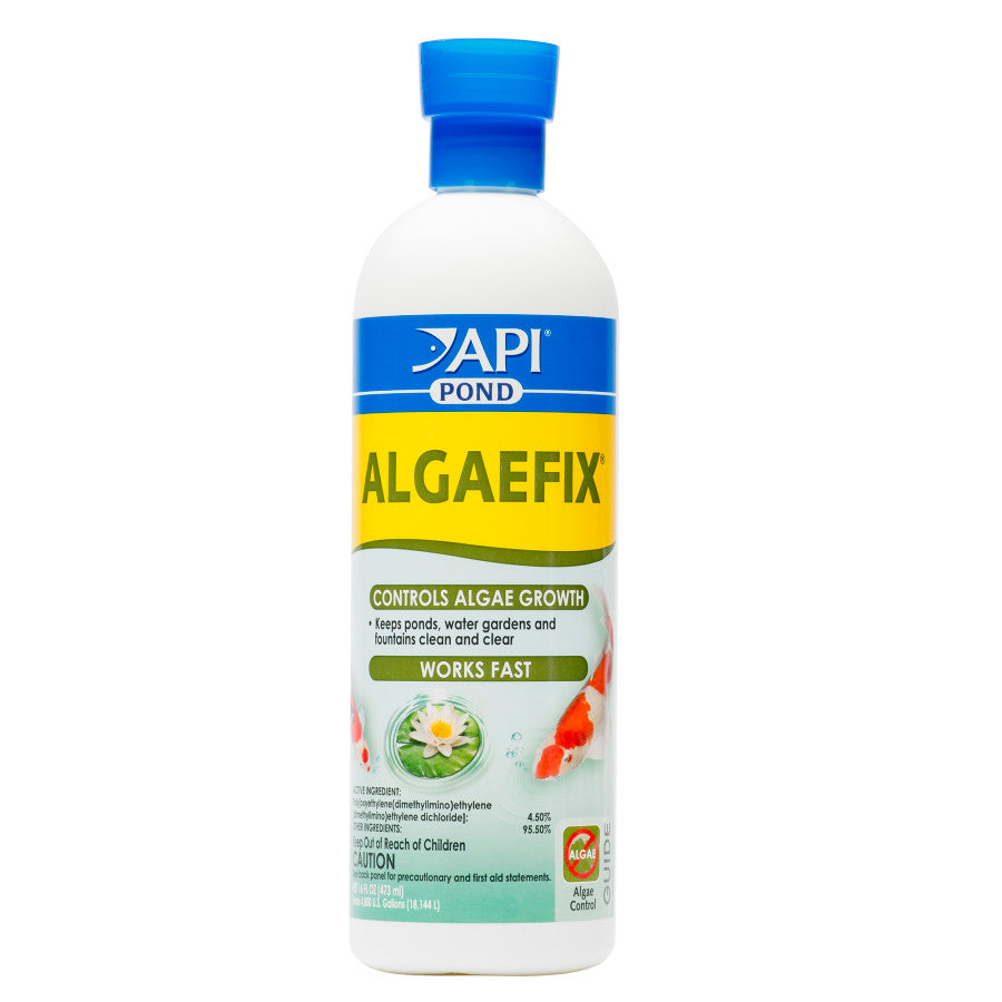 1ea/16 fl oz