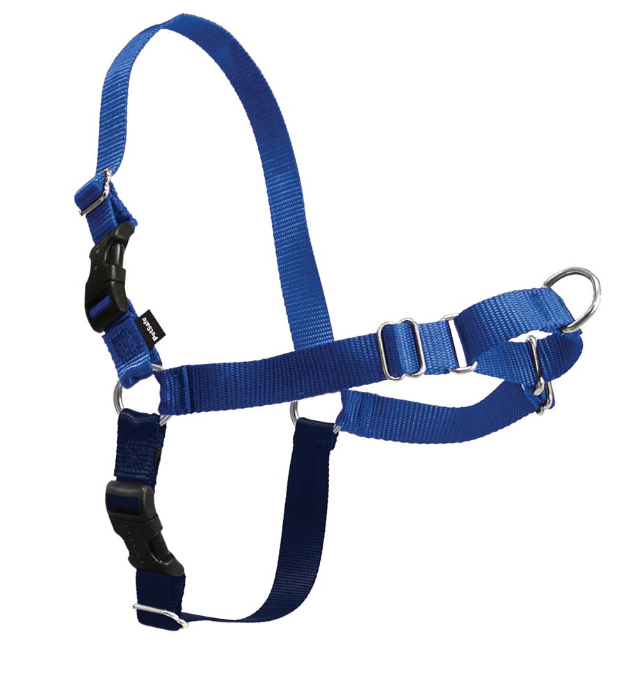 Royal Blue/Navy, 1ea/SM/MD