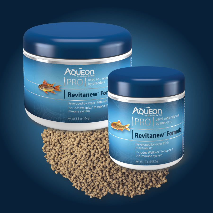 1ea/Medium - 3.6 oz