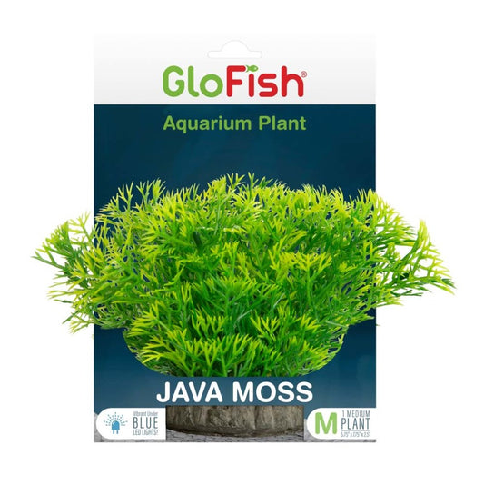 Green, 1ea/MD