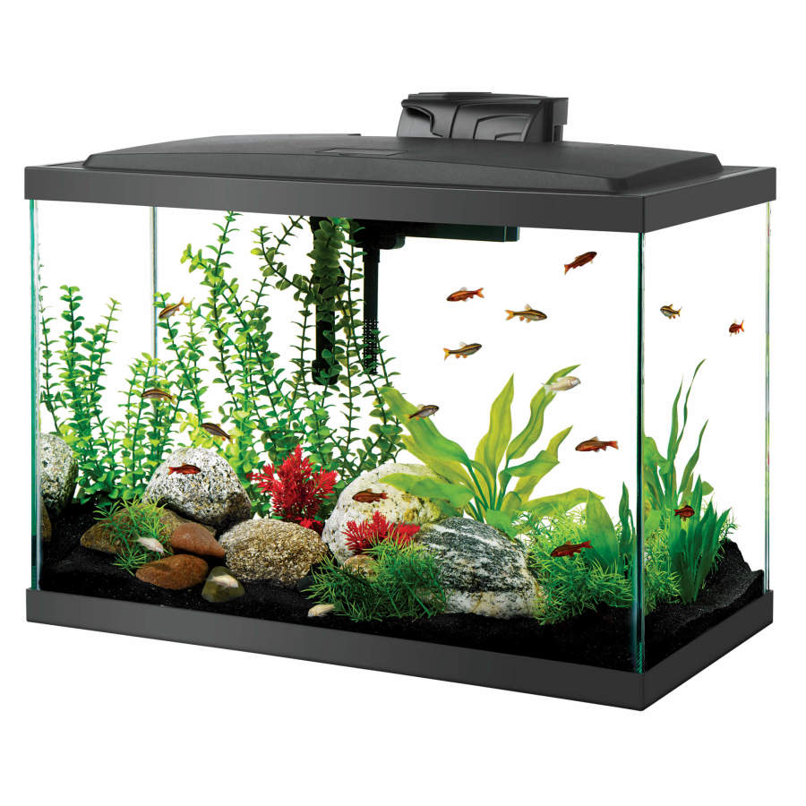 Clear Silicone, Black, 1ea/20 High