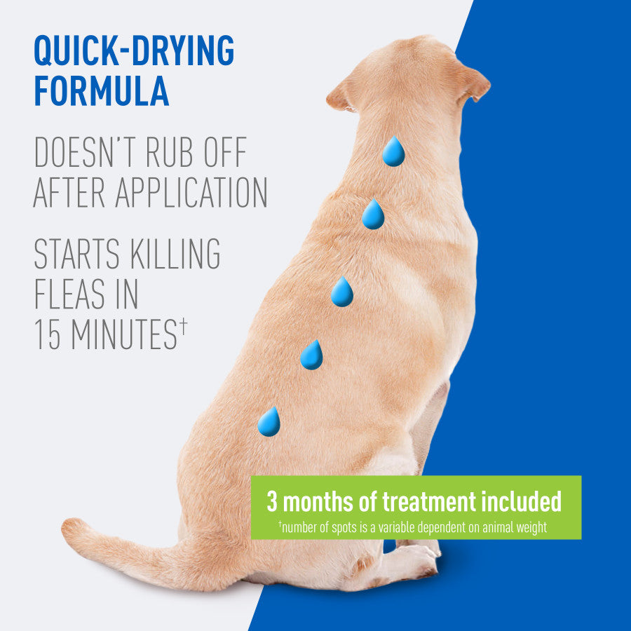 3 Month Supply, 1ea/Large Dogs 31 To 60 lb