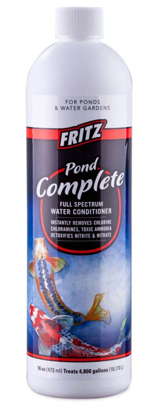 1ea/16 fl oz