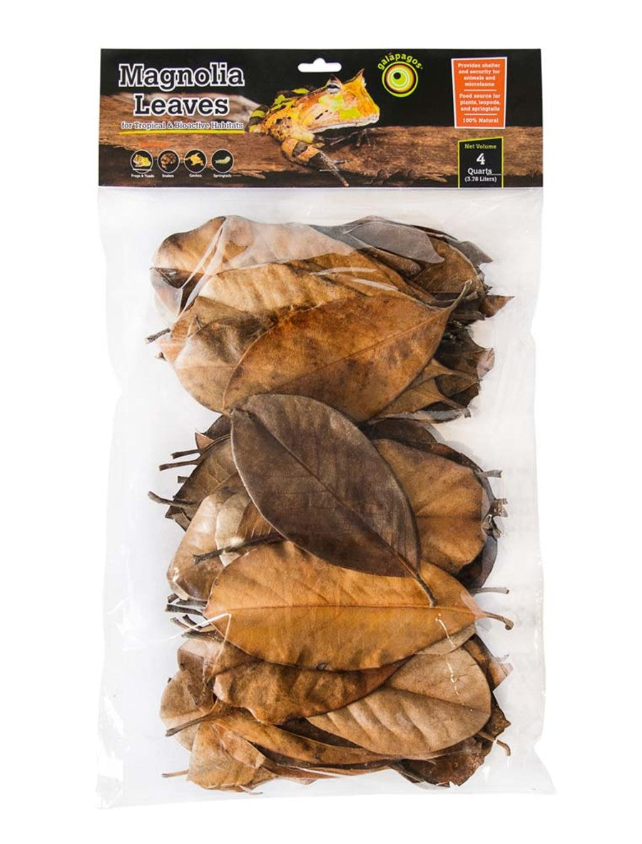 Brown, 1ea/4 qt