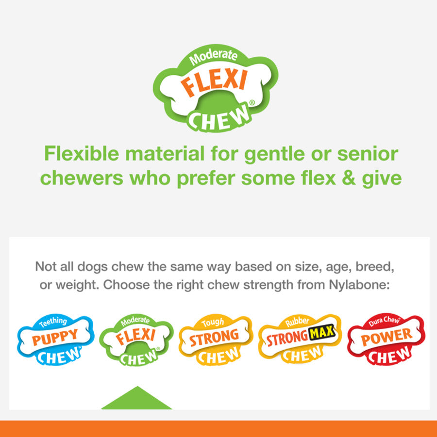 Flexi, Variety, 1ea/XS/Petite (3 ct)