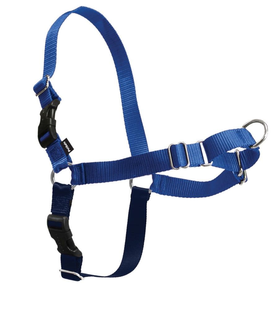 Royal Blue/Navy, 1ea/SM