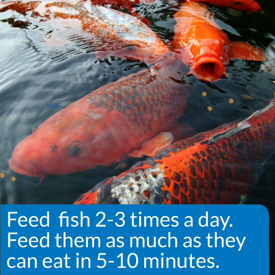 1ea/1.4 lb