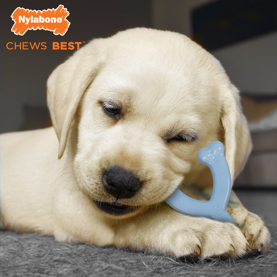 Puppy Blue Original, Chicken, 1ea/XS/Petite (1 ct)