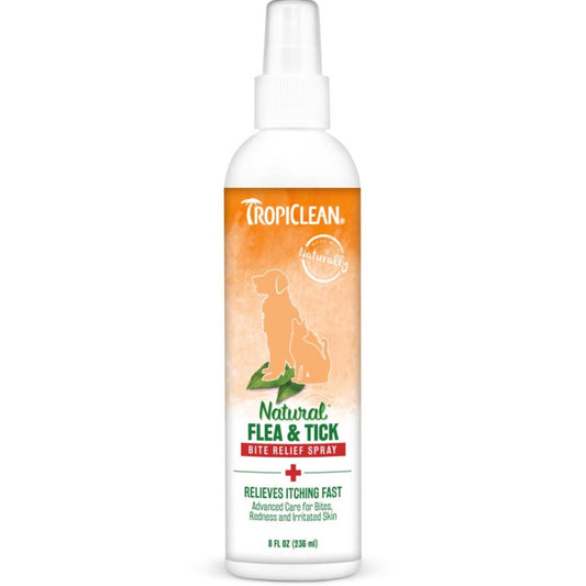 1ea/8 fl oz