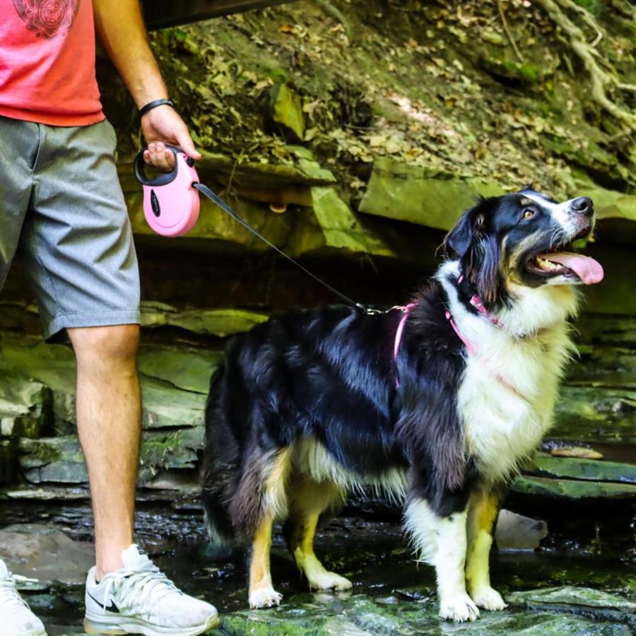 Pink, 1ea/16 ft, SM