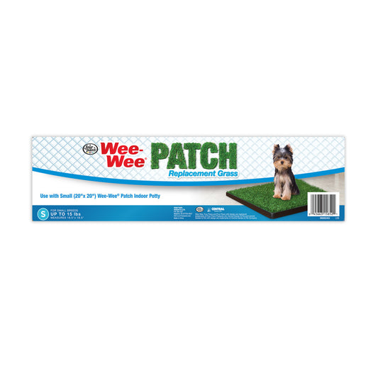 Patch, 1ea/SMall (12 ct)