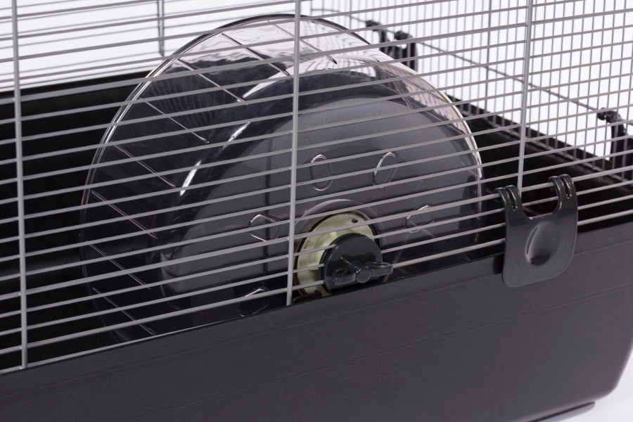 For Hedgehog, Translucent Black, White, 1ea/9.5 in
