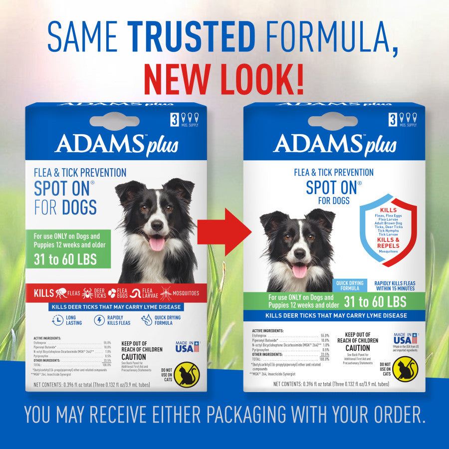3 Month Supply, 1ea/Large Dogs 31 To 60 lb