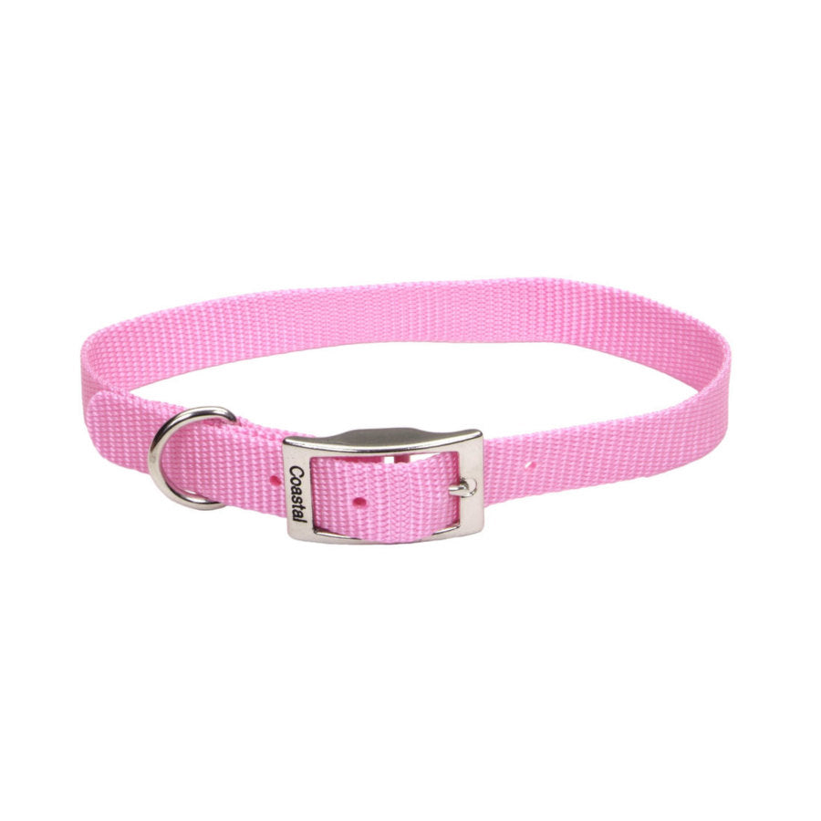 Pink Bright, 1ea/3/4 In X 18 in