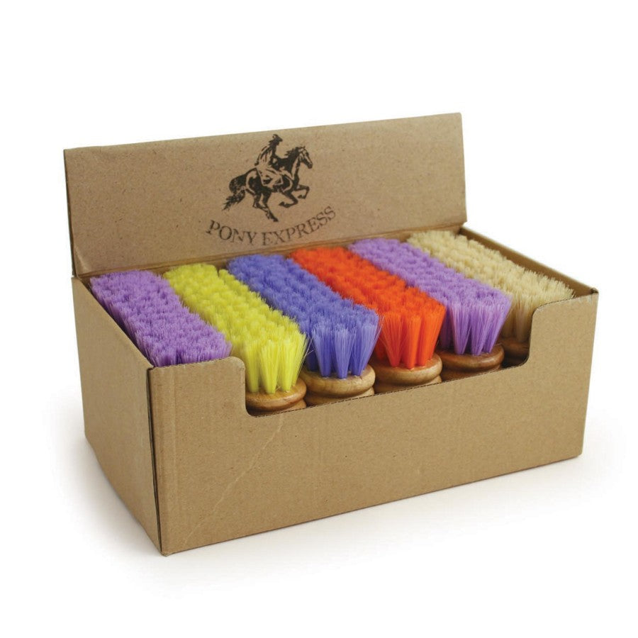Assorted, 1ea/12 pk