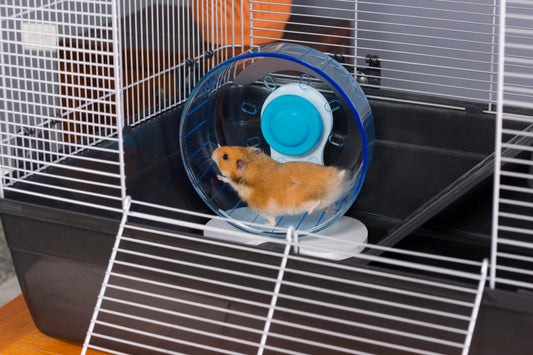For Mouse/Gerbil, Translucent Blue, White, 1ea/8 in