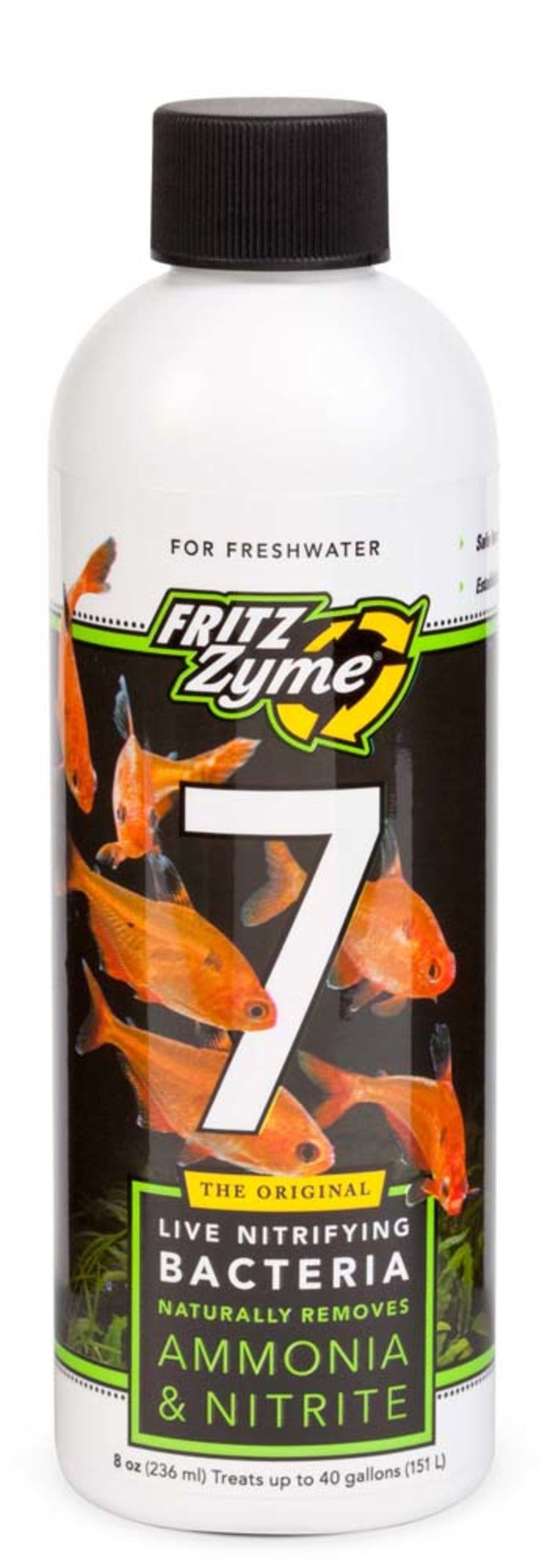 1ea/8 fl oz