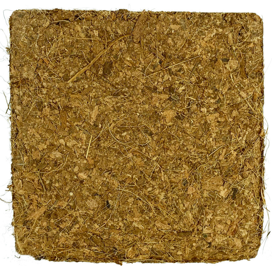 1ea/6 pk