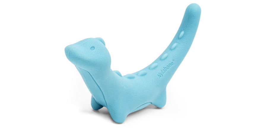 Rexii, 1ea/- Not Intended For Chewing