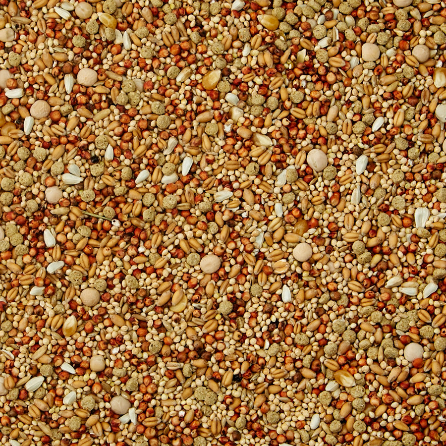 1ea/5 lb