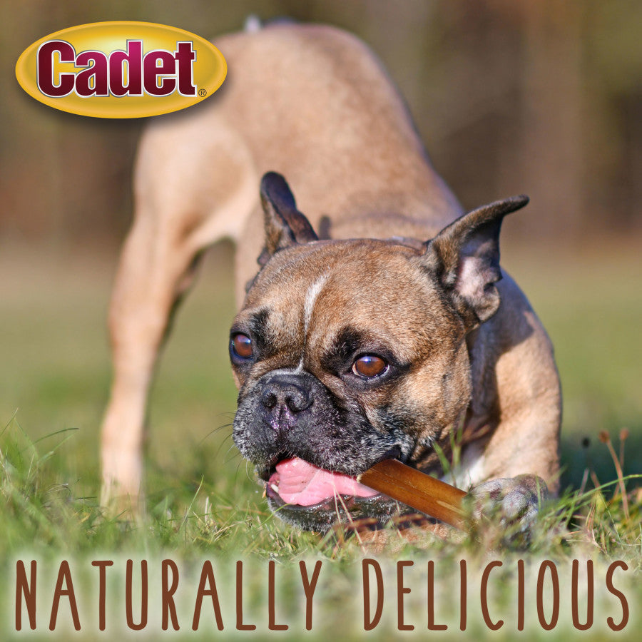 Bully Stick, Bully Sticks, 1ea/XS (8 Oz.)