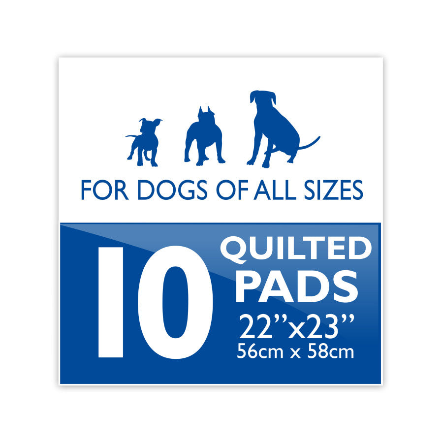 Standard, 1ea/10 ct