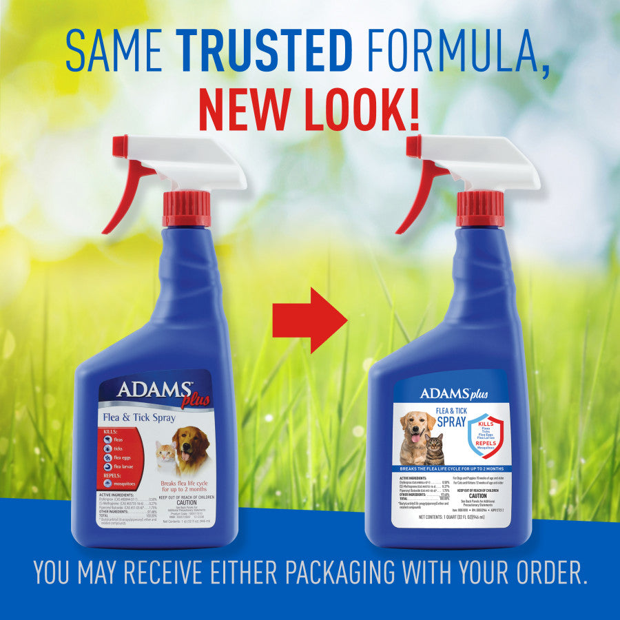 1ea/32 fl oz