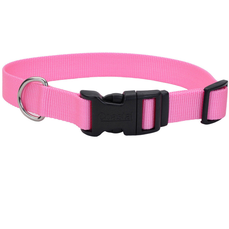 Bright Pink, 1ea/5/8 In X 10-14 in