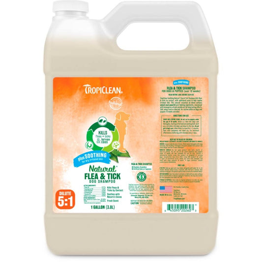 1ea/1 gal