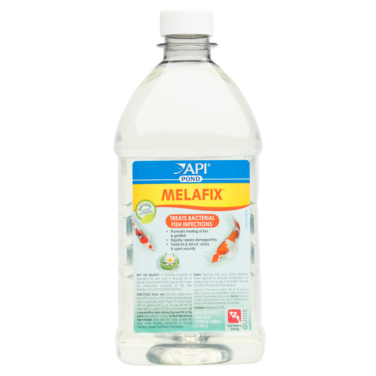 1ea/64 oz