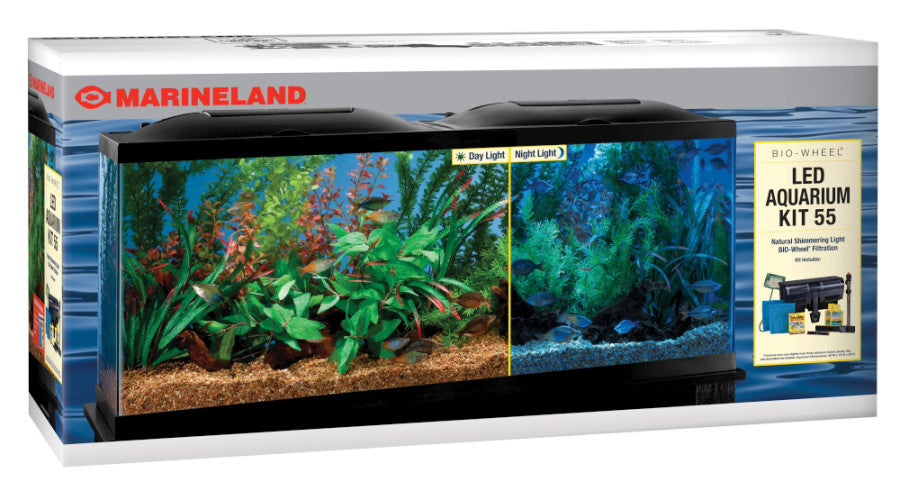 Black, Clear, 1ea/55 gal