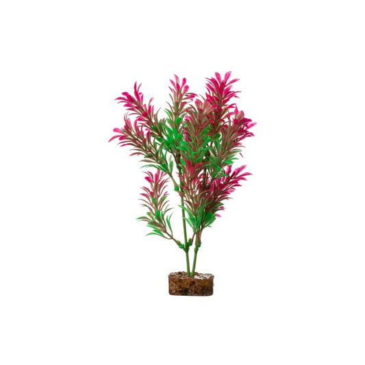 Green/Pink, 1ea/MD