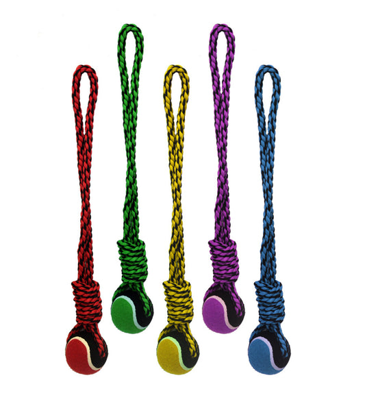 Assorted, 1ea/20 in, LG