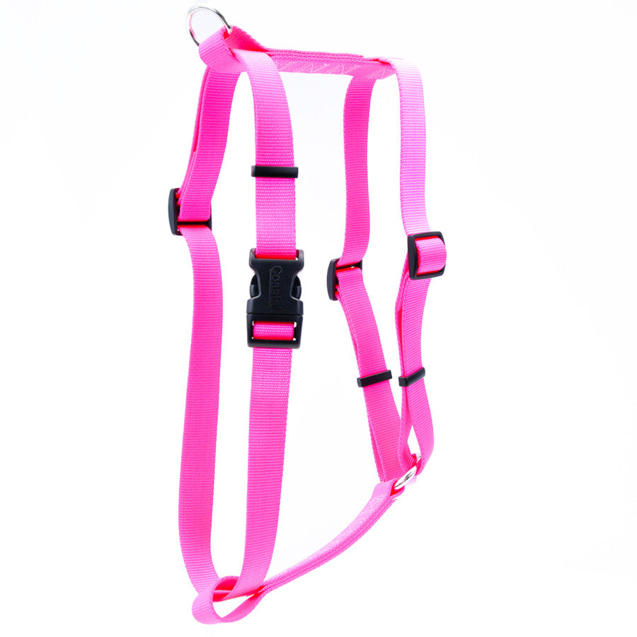 Neon Pink, 1ea/LG, 1In X 22-38 in