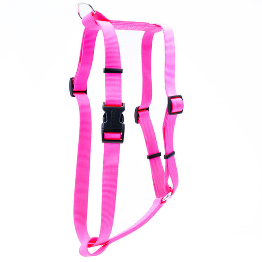 Neon Pink, 1ea/LG, 1In X 22-38 in