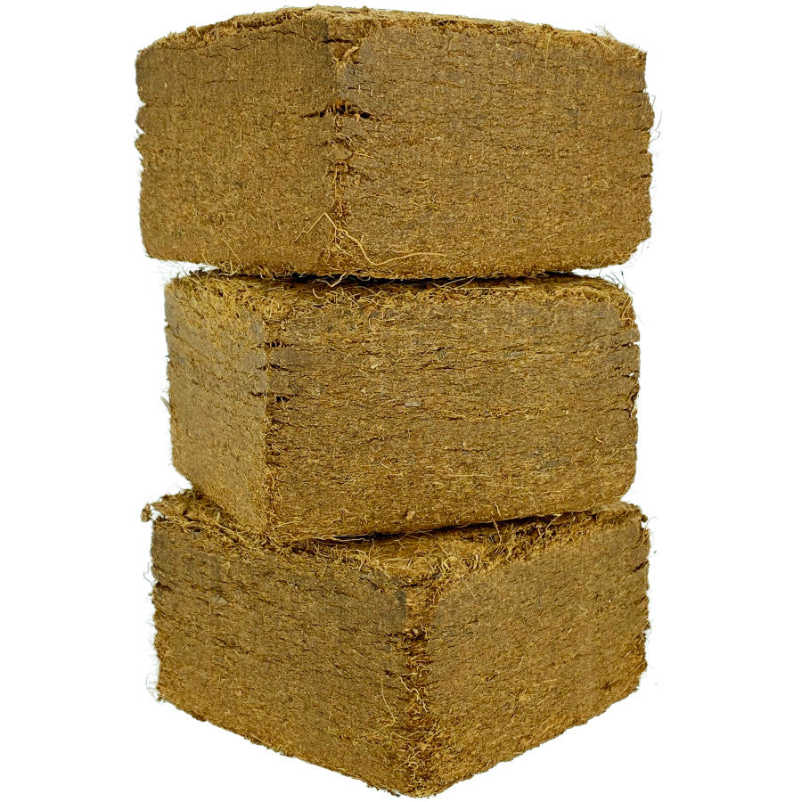 1ea/6 pk