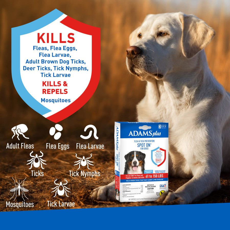 3 Month Supply, 1ea/XL Dogs 61 To 150 lb