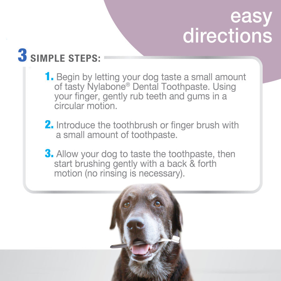 Ultra-Soft, 1ea/Senior Dog (3 ct)