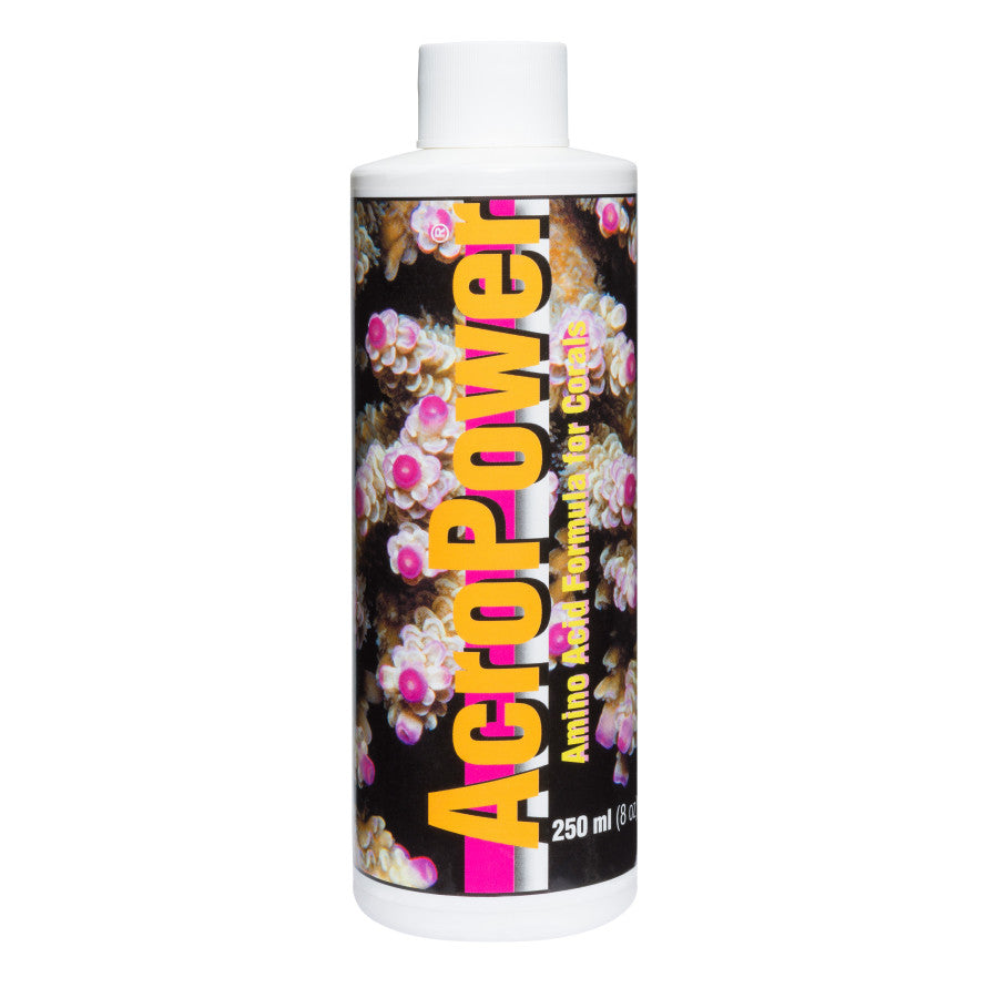 1ea/8 fl oz