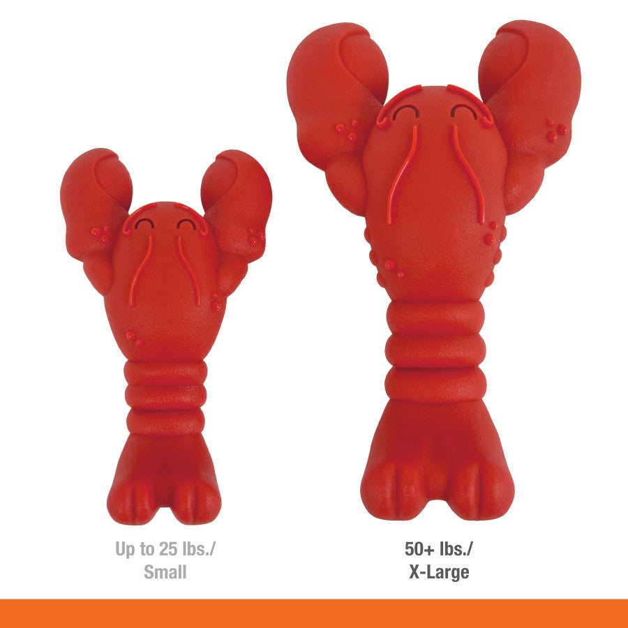 Lobster, Filet Mignon, 1ea/XL/Souper (1 ct)