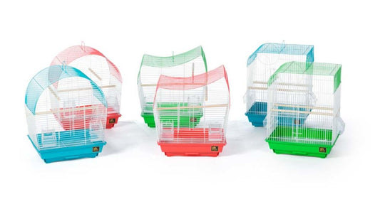 White/Coral, White/Teal, White/Lime Green, 6ea/6 pk