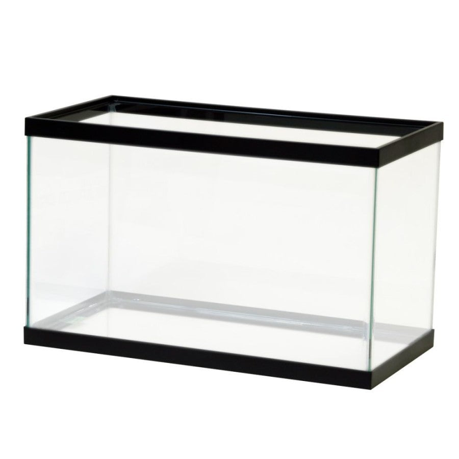 Clear Silicone, Black, 1ea/10 gal