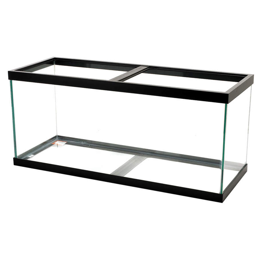 Clear Silicone, Black, 1ea/75 gal