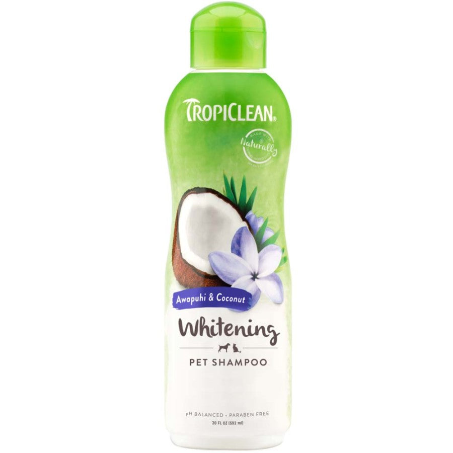 1ea/20 fl oz