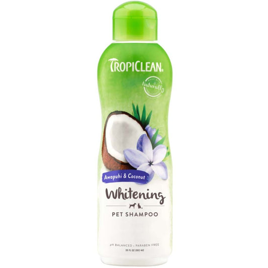 1ea/20 fl oz