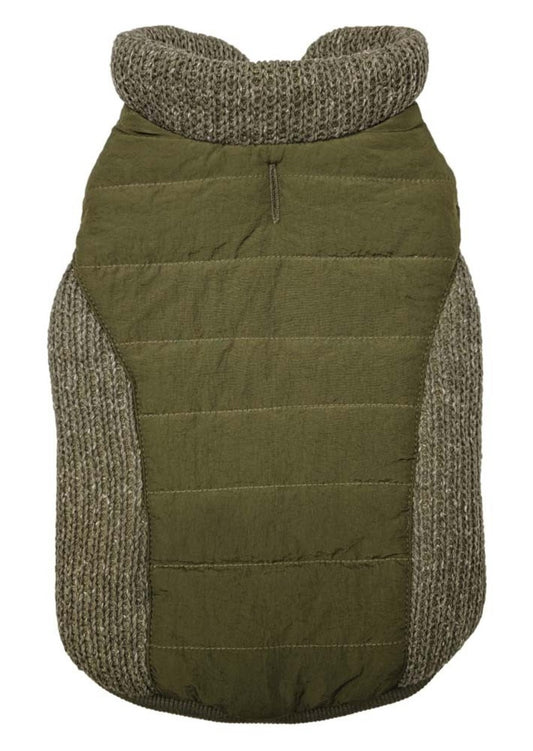 Olive, 1ea/XXS